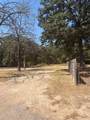 6885 County Road 3512 Road - Photo 8