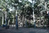 17 Circle Drive - Photo 31