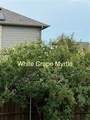2209 Madison - Photo 37