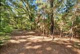 6723 County Road 4837 - Photo 10