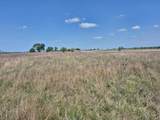 T.B.D Pr 4311 - Photo 3