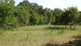 TBD Hwy 114 - Photo 9