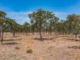 Lot 12 Choate - Photo 3