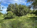 863 Pitchpole Circle - Photo 1