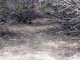 Unknow Cr 310 - Photo 14