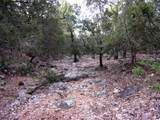 Unknow Cr 310 - Photo 17