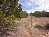 Unknow Cr 310 - Photo 24