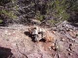 Unknow Cr 310 - Photo 32