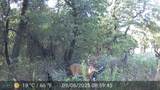 524 County Road 1792 - Photo 1