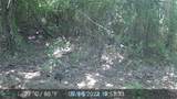 524 County Road 1792 - Photo 2