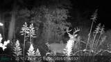 524 County Road 1792 - Photo 4