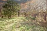 730 Us Hwy 84 - Photo 2