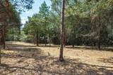 Tract 1 County Road 484 - Photo 6