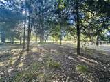Lot 65 Sombrilla Lane - Photo 21