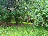 261 Catholic Cemetery Road - Photo 28