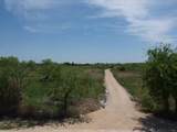 2971 County Road 442 - Photo 5
