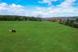 10794 County Road 334 - Photo 40