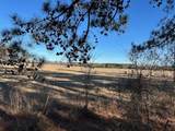 562 County Road 4430 - Photo 15