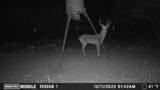 129 Big Buck Run Road - Photo 2