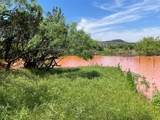 TBD 141 Acres Cr 343 - Photo 1