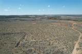 TBD 141 Acres Cr 343 - Photo 14
