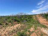 TBD 141 Acres Cr 343 - Photo 5