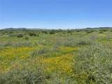 TBD 141 Acres Cr 343 - Photo 7