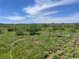 TBD 75 Acres Cr 343 - Photo 1