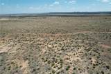 TBD 75 Acres Cr 343 - Photo 12