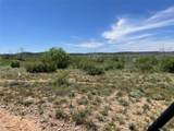TBD 75 Acres Cr 343 - Photo 2