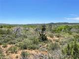 TBD 75 Acres Cr 343 - Photo 4