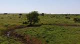 TBD High Plains Trail - Photo 12