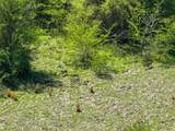 0000 Vz County Road 3710 - Photo 19