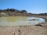 426 County Road 194 - Photo 33