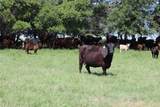 293 Acres Deer Creek Rd - Photo 1