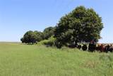 293 Acres Deer Creek Rd - Photo 13