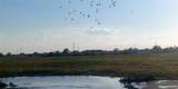TBD Fm 2114 - Photo 8