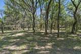 1359 County Road 195 - Photo 32