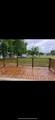 247 Comanche - Photo 12