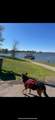 247 Comanche - Photo 14