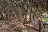 3653 Fm 2602 - Photo 26