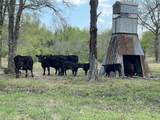 690 County Road 15560 - Photo 37