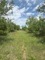 322 County Road 146 - Photo 10