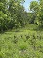 322 County Road 146 - Photo 5