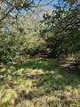 70+/- Acres Turner - Photo 14