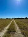 70+/- Acres Turner - Photo 26
