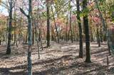 9122 Safari Bluff - Photo 20