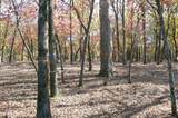 9122 Safari Bluff - Photo 21