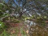 TBD Highway 281 - Photo 13