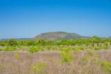 5230 County Road 409 - Photo 6